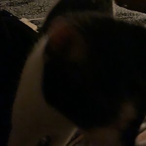 Meet your Posher, Gene